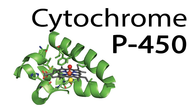  CBD oil and Cytochrome P-450