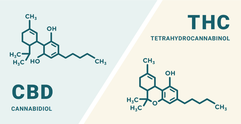 THC and CBD Img