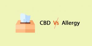 CBD vs Allergy