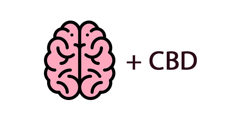  CBD Effects on the Brain