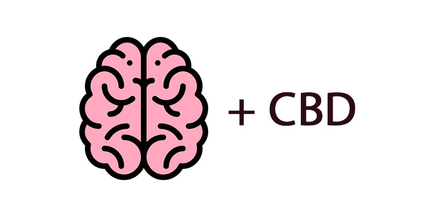  Brain and CBD