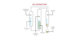 CO2 Extraction