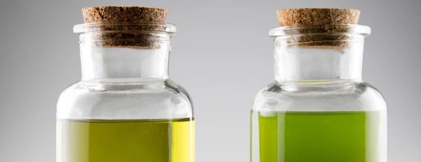  What Is the Difference Between Hemp Oil and CBD Oil?