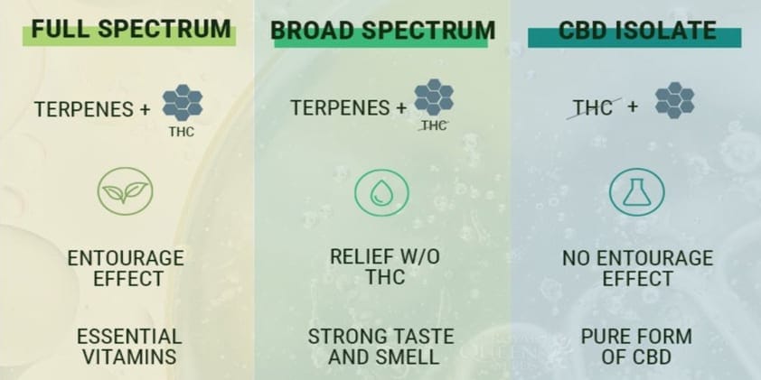  What Is the Difference Between Full Spectrum CBD and Broad – Spectrum CBD?