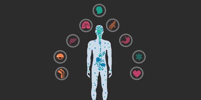  Endocanabinoid System