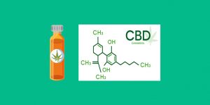 How CBD works?