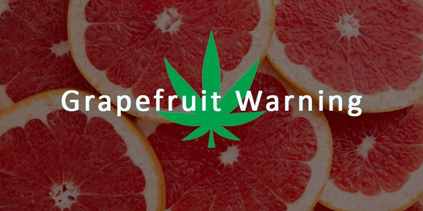  How the Grapefruit Warning Indicates if CBD May Affect Your Prescriptions