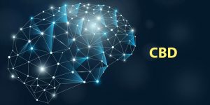 CBD for memory