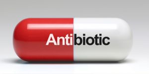 Antibiotic Interaction