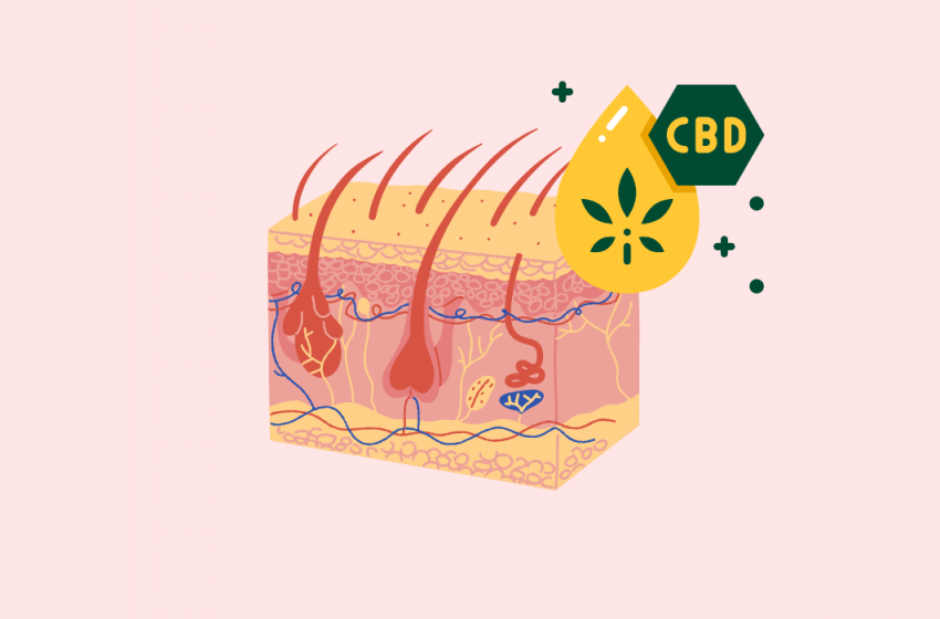  CBD for Skin Conditions