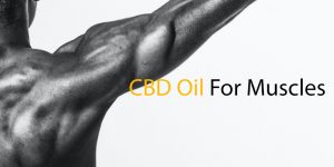 CBD Oil for Muscels