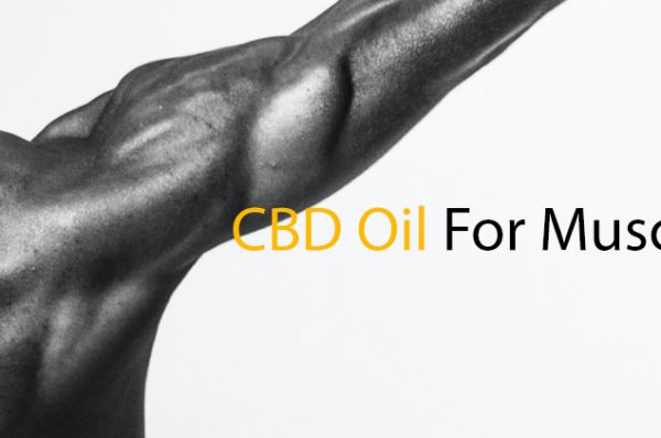 CBD Oil for Muscels