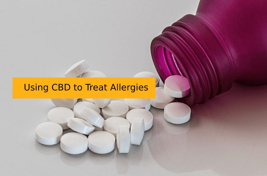 Allergy Medications and Drugs