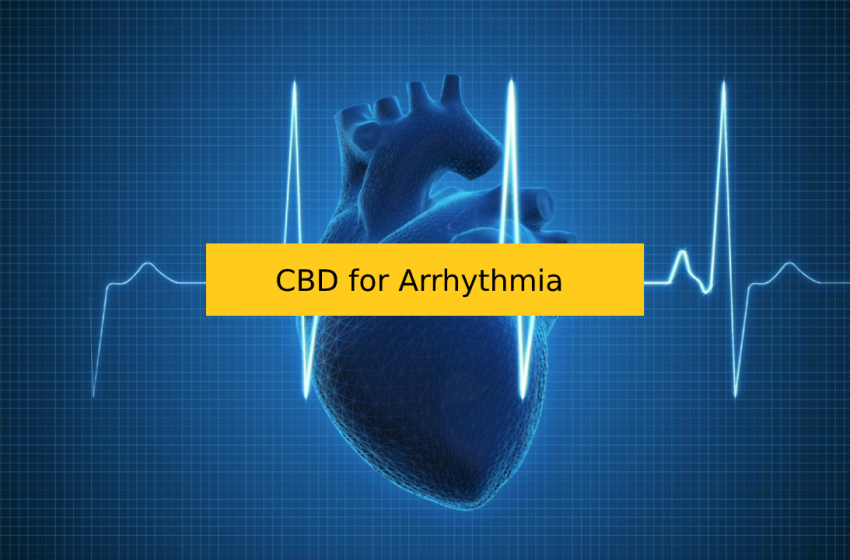  CBD for Irregular Heartbeat/Arrhythmia
