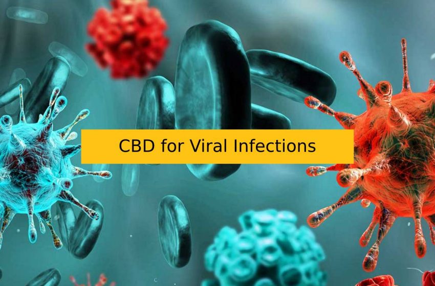  CBD for Viral Infections