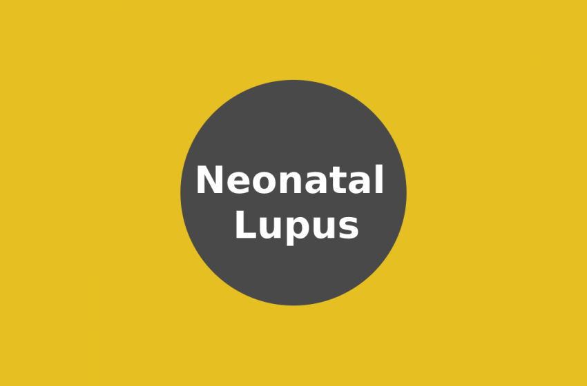  CBD For Neonatal Lupus