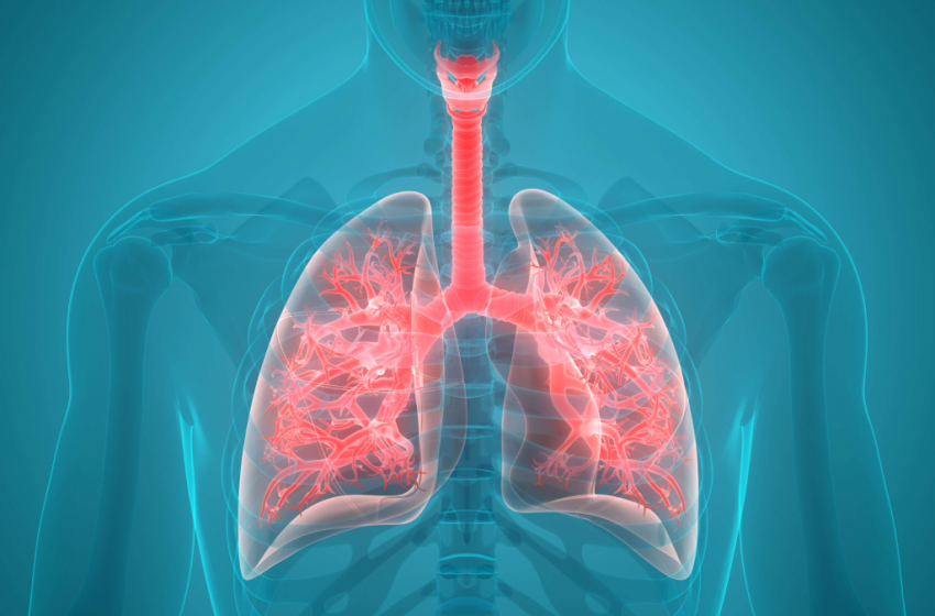  Can CBD Treat Bacterial Pneumonia?