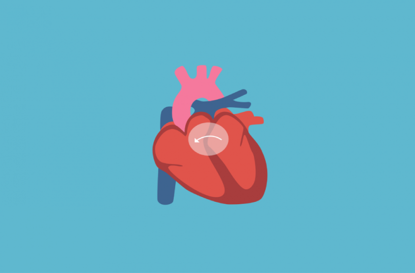  Should Patients With Congenital Heart Disease Use CBD?