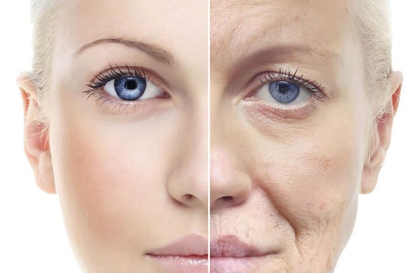  How Effective Is CBD for Anti-Aging and Smoothing the Skin?