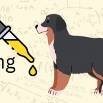 cbd oil for dogs calculator