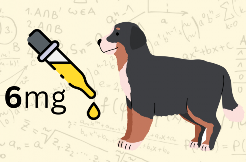  CBD Oil for Dogs Dose Calculator: Pick the Right Dosage