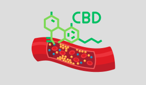 Does CBD Lower Cholesterol