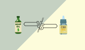 hemp oil vs cbd oil