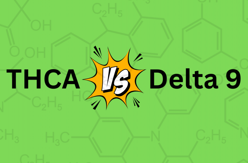  THCA vs Delta 9: Key Differences You Need to Know