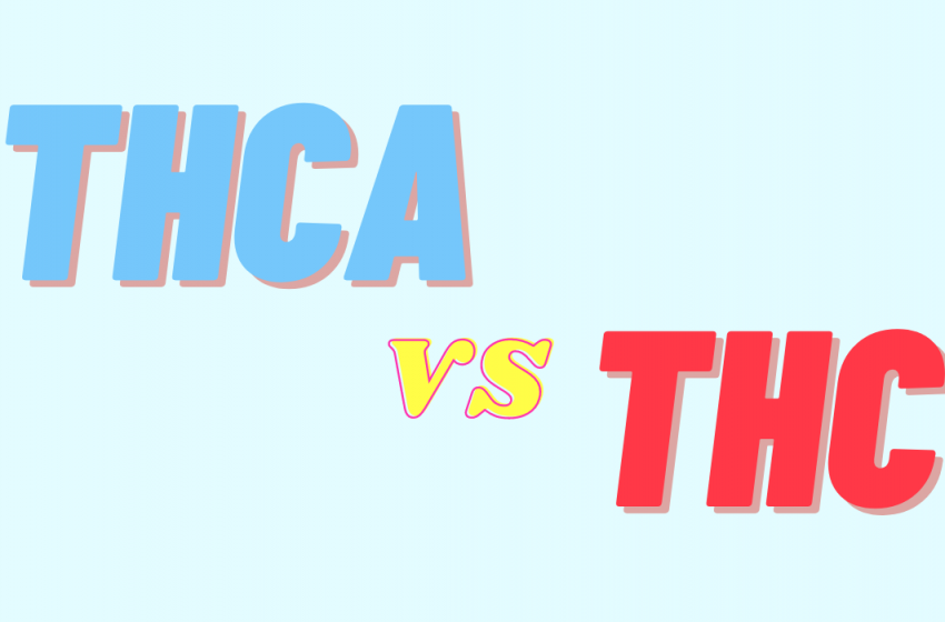  THCA vs THC: 7 Key Differences