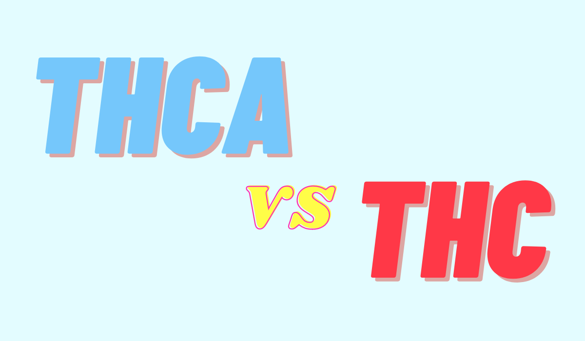 THCa vs THC