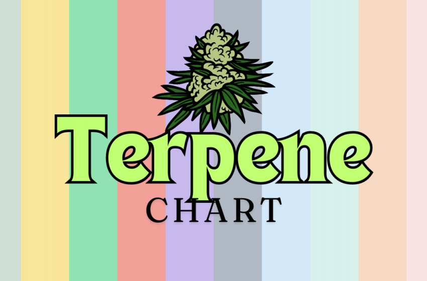  Terpene Chart: Your Guide to Cannabis Aromas and Effects