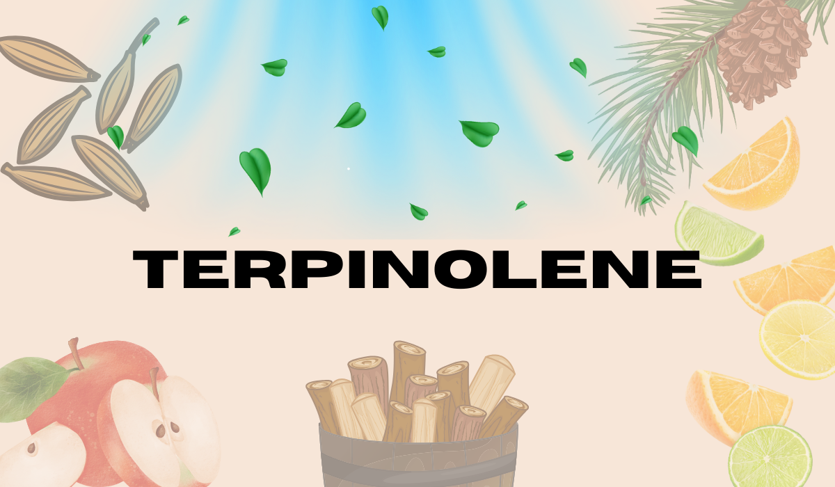 Terpinolene