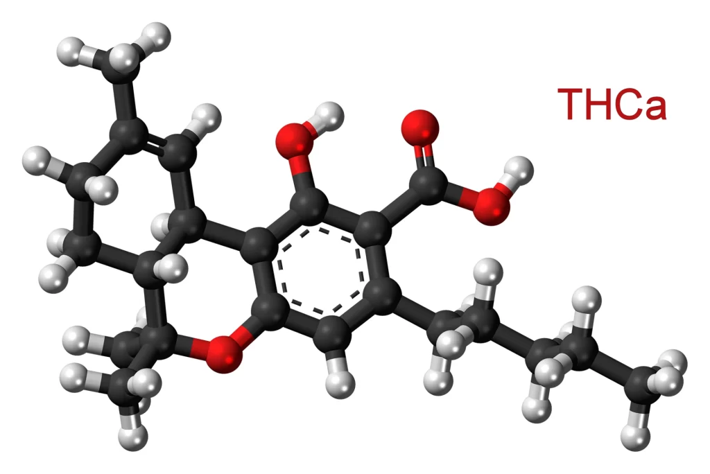 thca Tetrahydrocannabinolic acid chemical structure