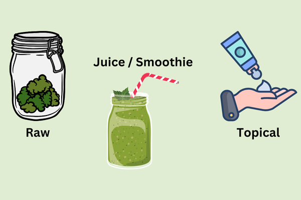 thca consumption methods