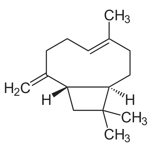 Caryophyllene chemical structure