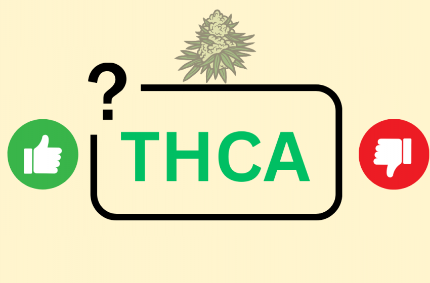  Fascinating Facts About What is THCA