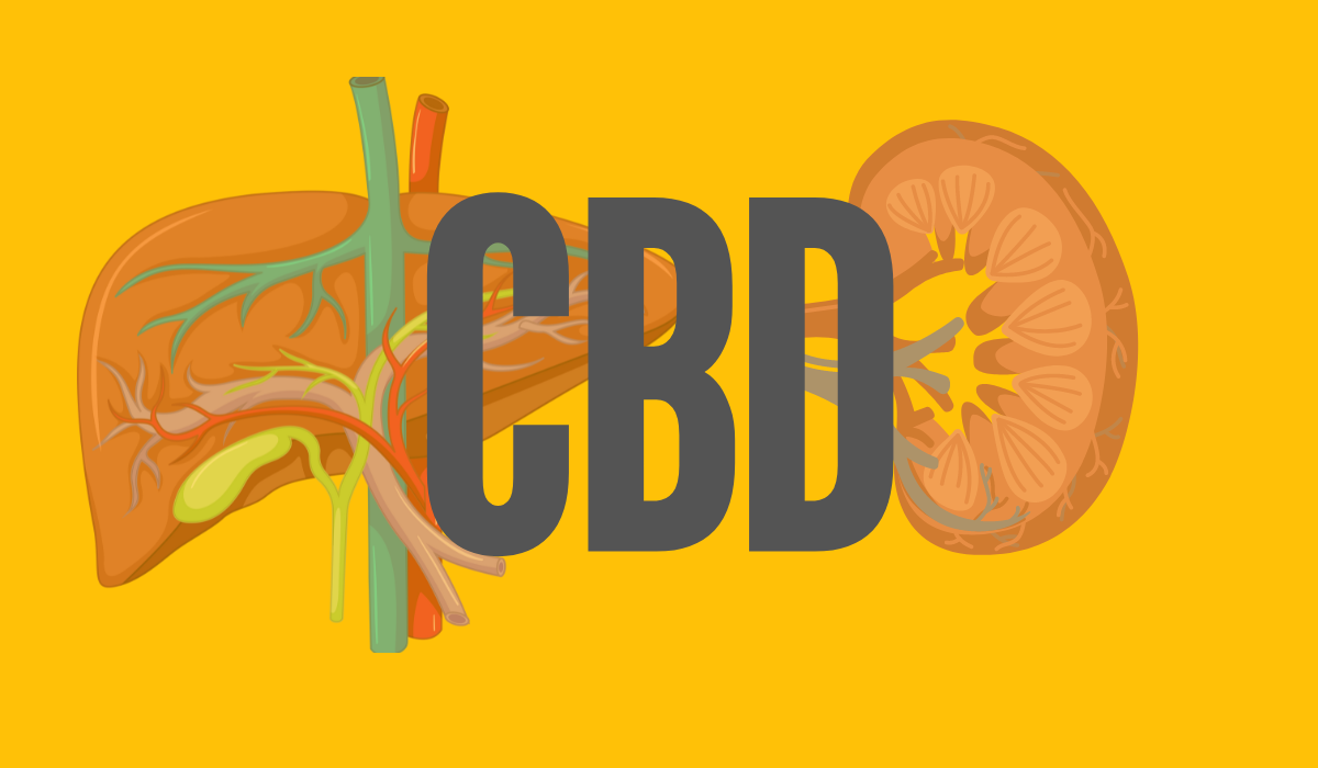 Does CBD affect kidney and liver