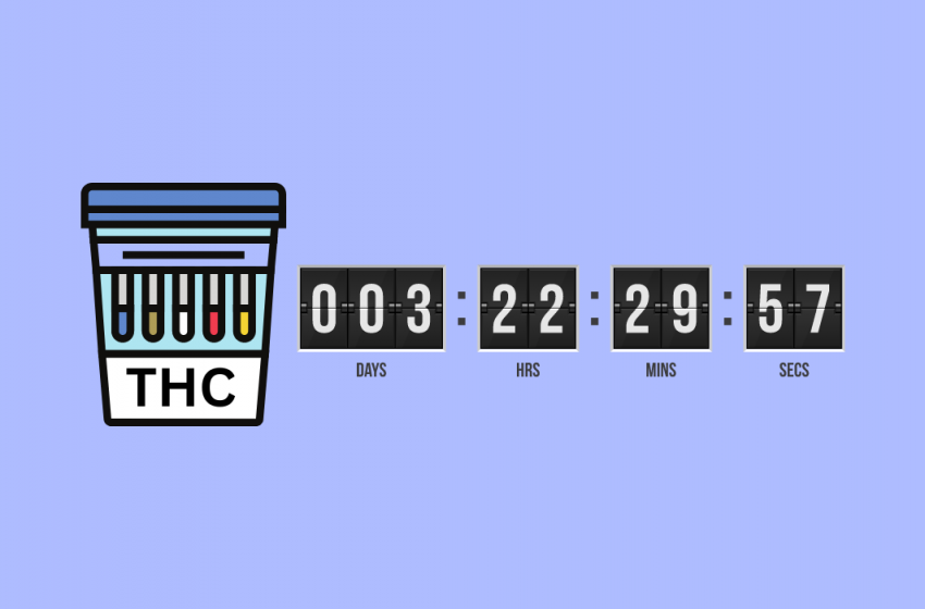  How Long Does THCA Stay Detectable? Guide to Cannabis Testing