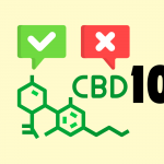 cbd 101 lead media