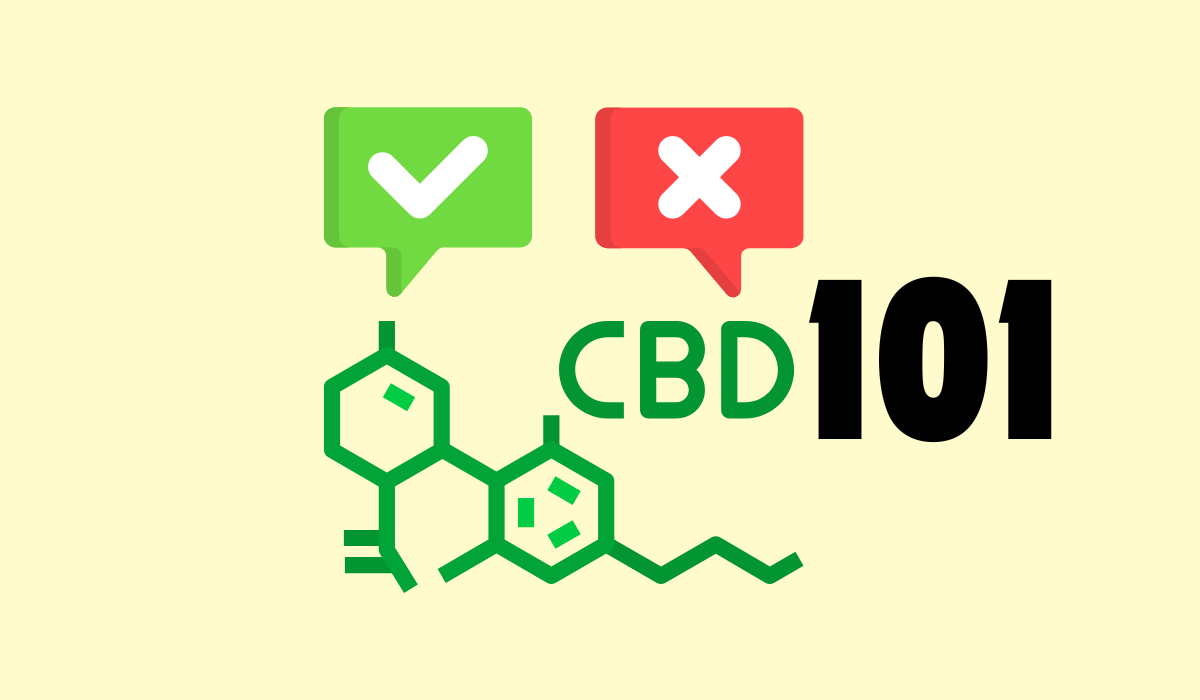 cbd 101 lead media