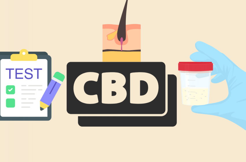  Shocking Facts About CBD and Drug Testing You Absolutely Need to Know