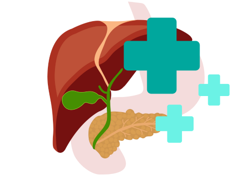 cbd healing liver