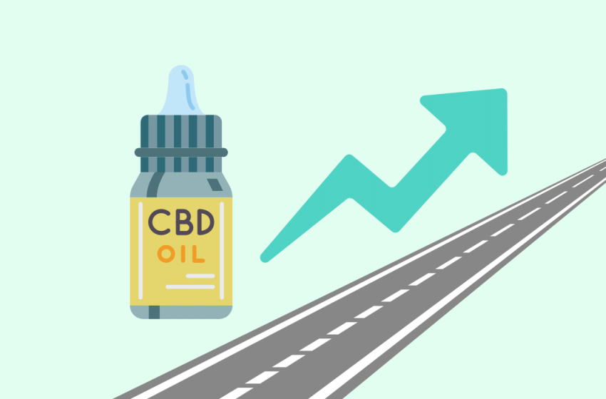  The Long-Term Effects of CBD: 10 Key Insights