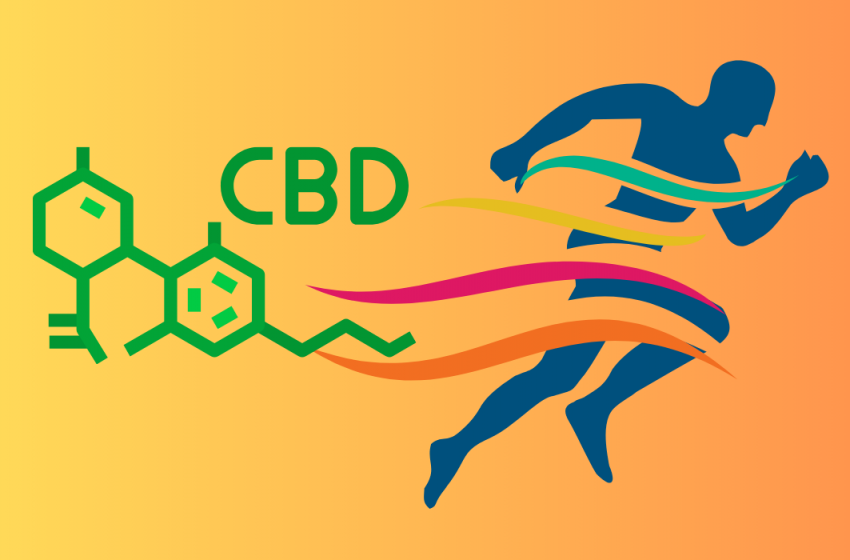  How Athletes Use CBD to Enhance Recovery and Overcome Pain