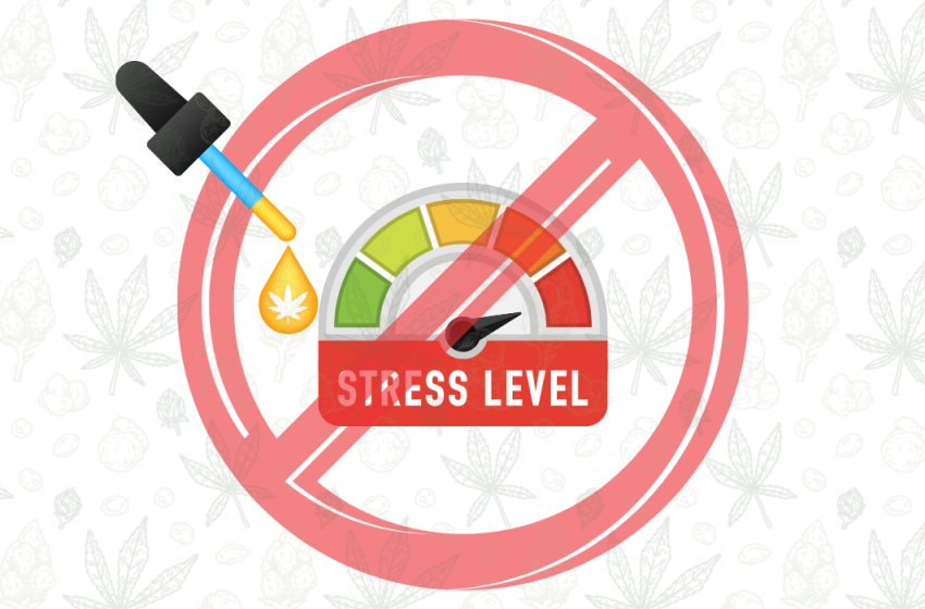  Different Ways CBD Can Soothe Your Anxiety and Melt Away Stress