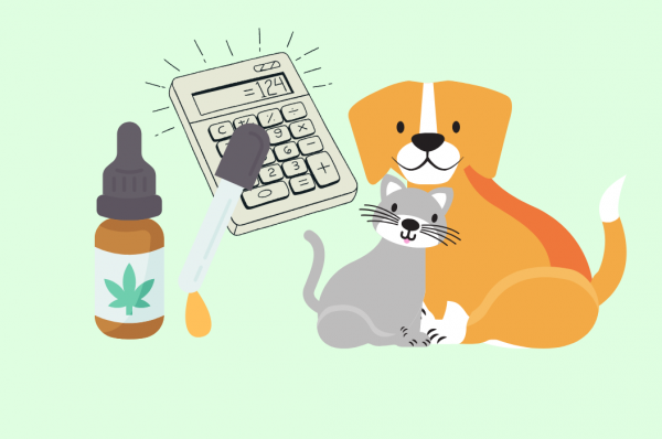 cbd pet dosage