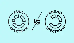 Full Spectrum CBD vs Broad Spectrum CBD