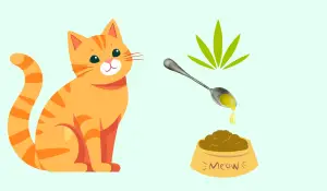 cbd for cats
