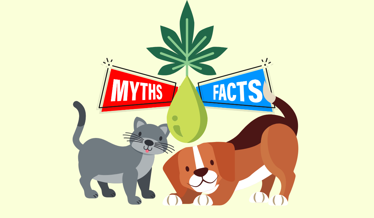 cbd for pets myths