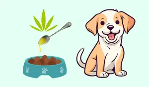 cbd oil for dogs